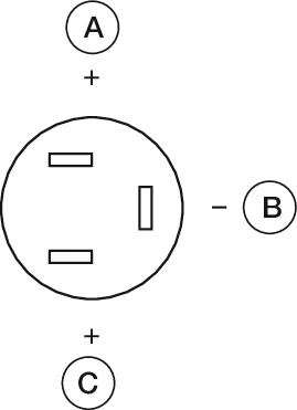 Disposición de los componentes